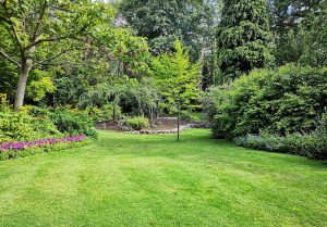 Optimiser l'expérience du jardin à Bracquemont